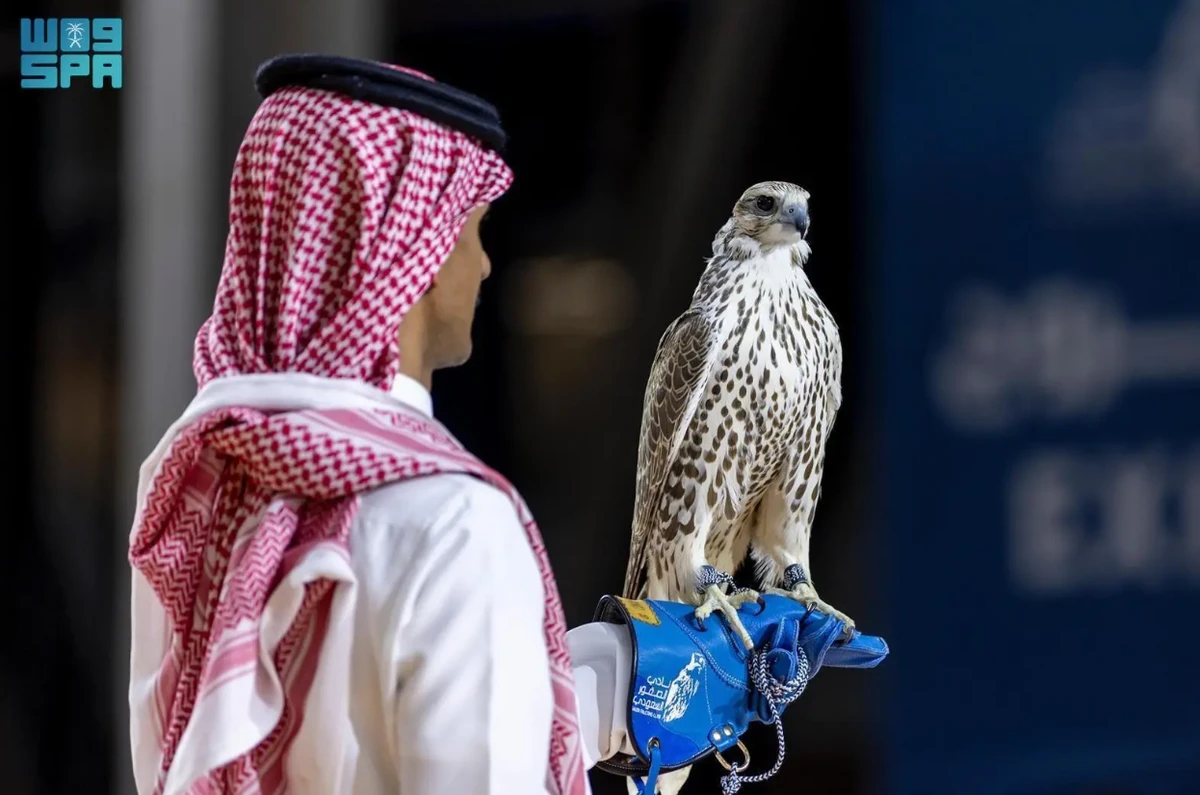 Three falcons sold for $249k at Riyadh auction