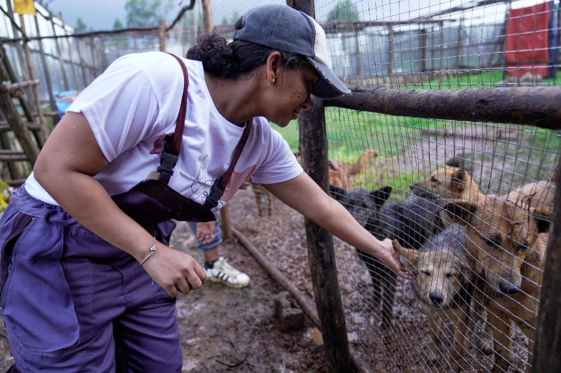 Luna Solomon, plays with stray dogs that were abandoned on the streets at a shelter in Addis Ababa, Ethiopia. (AP)