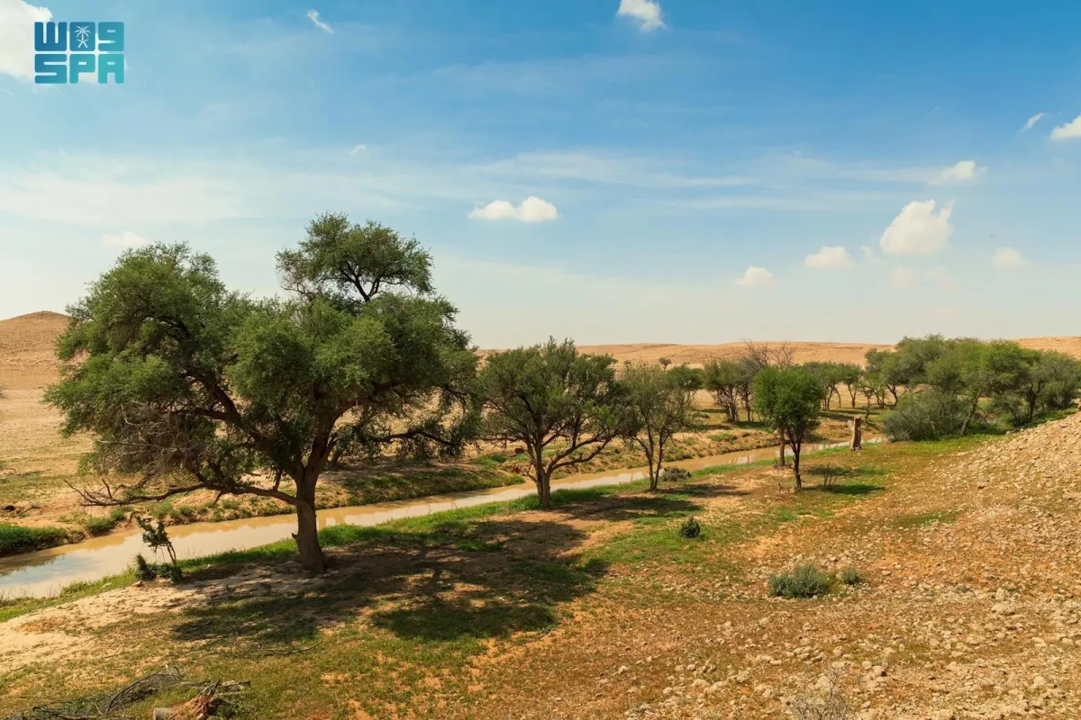 Saudi royal reserve highlights arid land restoration efforts at US conference