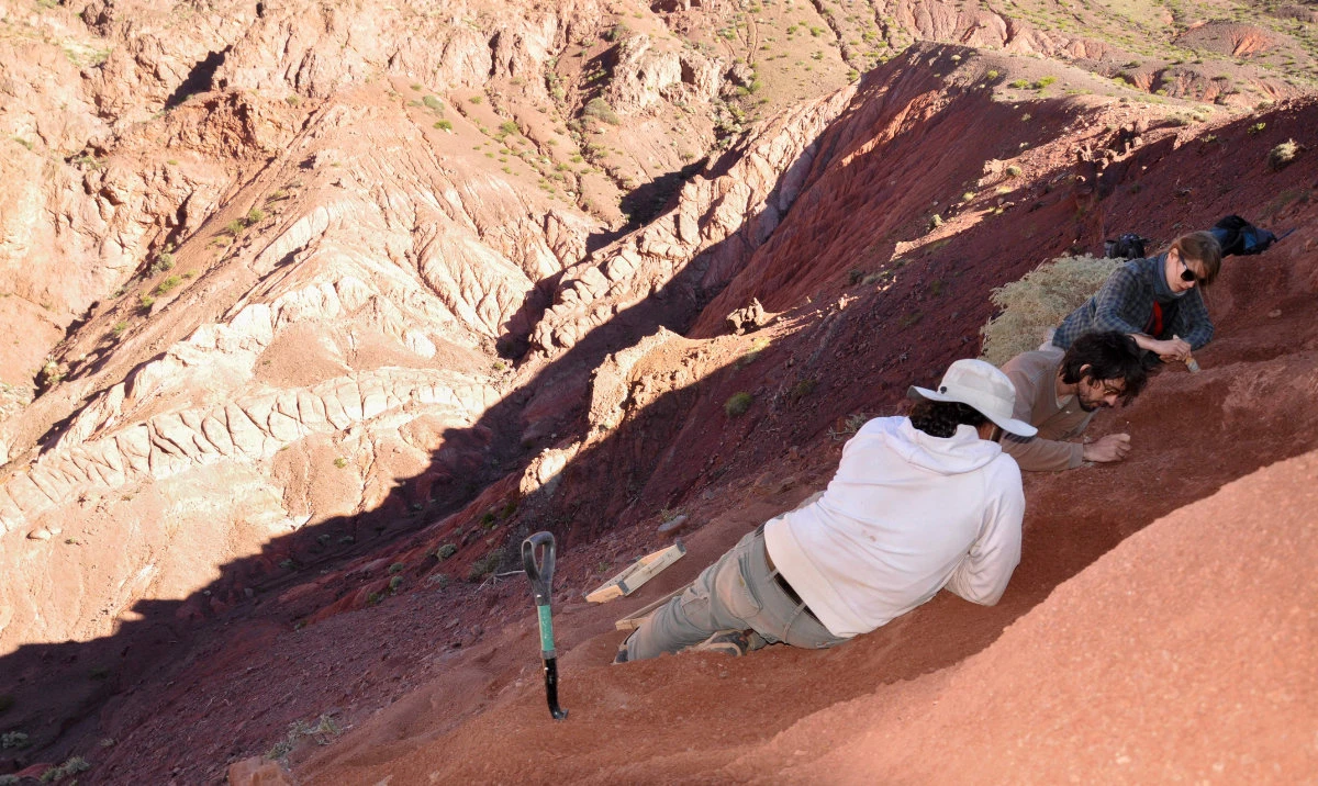 Researchers working in the area where the remains of Huayracursor jaguensis were found in Quebrada de Santo Domingo, La Rioja province, Argentina, on March 15, 2018. Argentine scientists have discovered the nearly complete skeleton of an unknown dinosaur species that lived approximately 230 million years ago in the Andes Mountains, the state scientific institute Conicet reported Wednesday. (AFP)