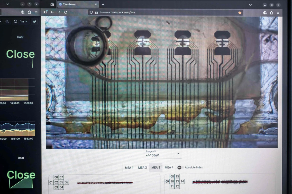 A screen monitoring human brain cells activity is photographed at the Swiss start-up FinalSpark in Vevey, on October 3, 2025. (AFP)