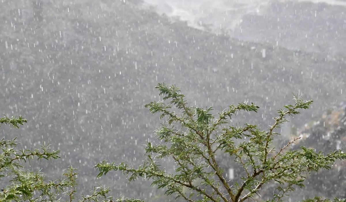 The period brings mild daytime weather, cool evenings and the formation of rainy cumulus clouds, making it ideal for farming and outdoor trips. (SPA)
