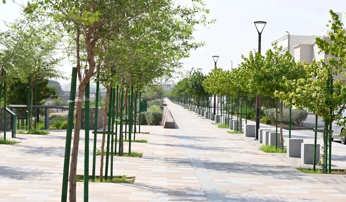 The initiative aims to plant 2.1 million trees across Madinah to increase vegetation cover, reduce carbon emissions, lower temperatures, and improve the urban landscape. (SPA)