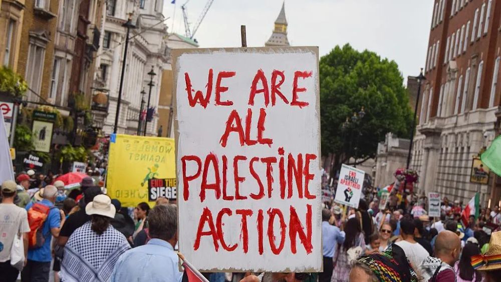 Laws used in the UK to ban the group Palestine Action have been applied ‘too broadly,’ a review into counterterrorism legislation has found. (Getty Images)