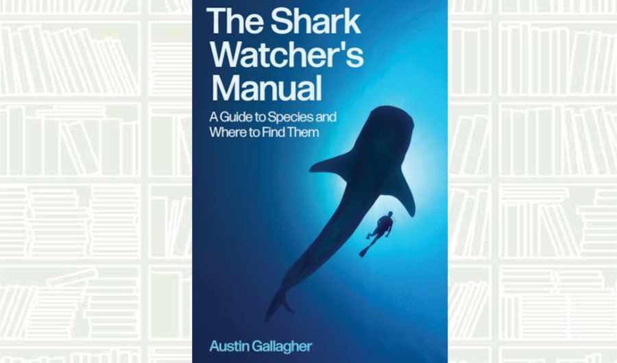What We Are Reading Today: ‘The Shark Watcher’s Manual’