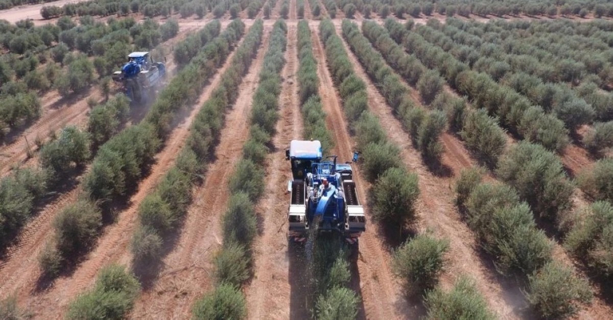 The Arab Authority for Agricultural Investment and Development is studying new investment opportunities in the agricultural and food sectors in Saudi Arabia, with a focus on food security and food. AL-EQTISADIAH