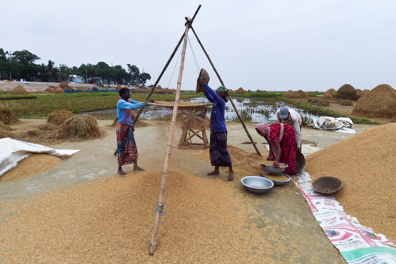 Bangladeshi workers harvest rice at a paddy field in Kishoreganj. (File/AFP)