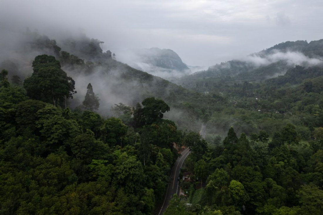 An aerial view of a forested valley inhabited by a group of Maniq in Satun in southern Thailand. (AFP)