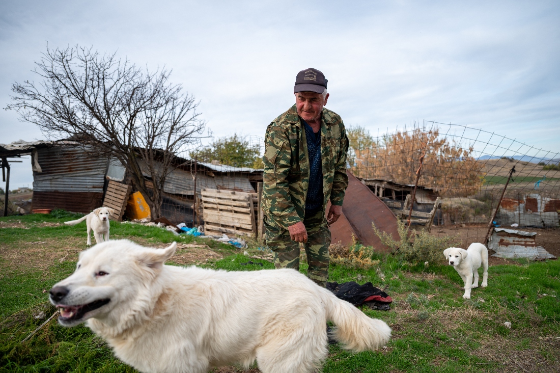 Farmer Anastasios Kasparidis stands outside his sheep pen with his three dogs in Levea village, northern Greece. (AP)
