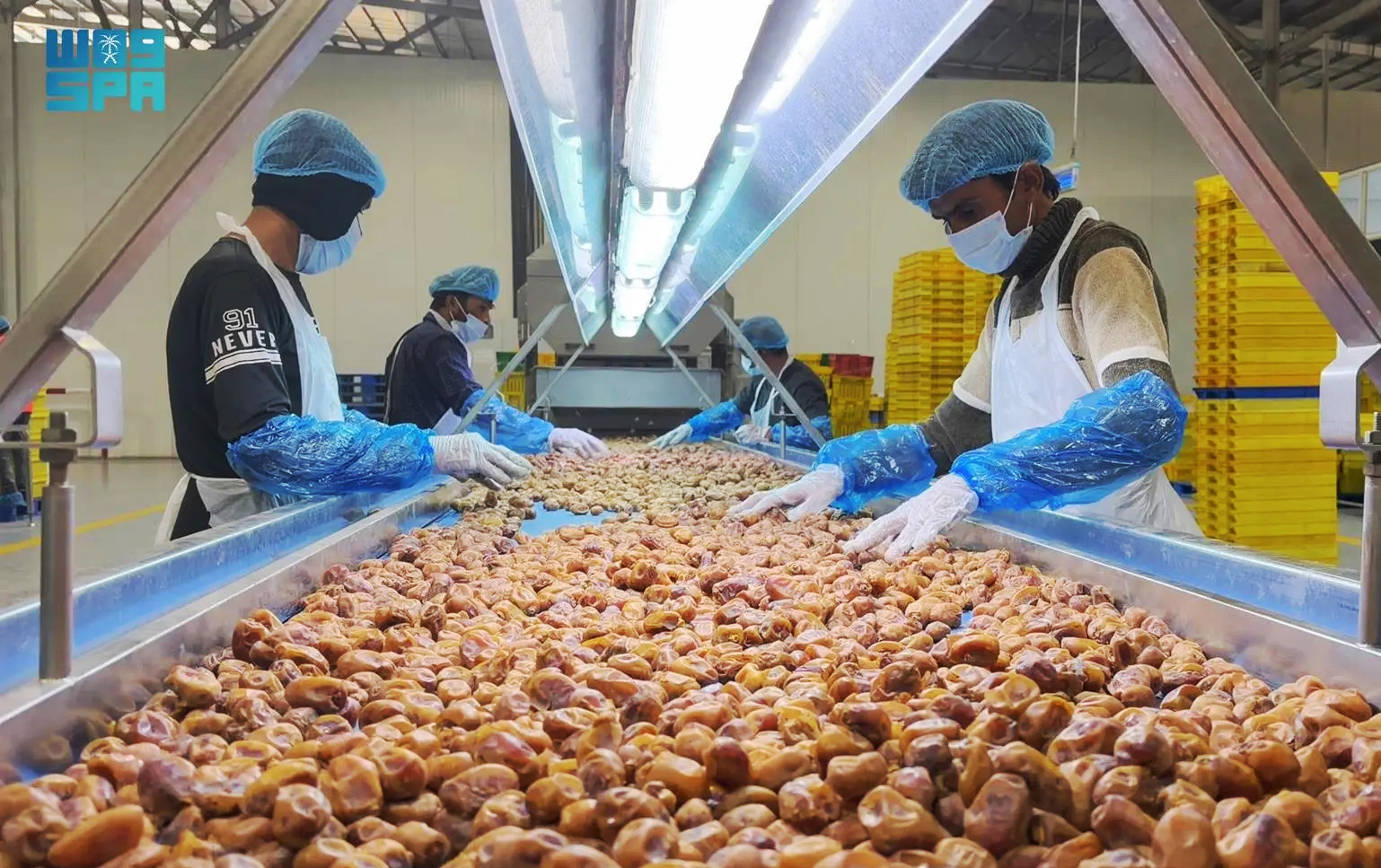 The conference will address challenges related to palm pests and diseases, and promote smart farming technologies and post-harvest automation to improve production efficiency and quality. (SPA)