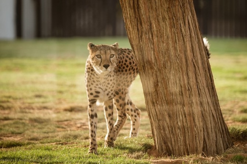 Visitors can take part in activities including animal feeding and educational workshops. (Supplied)