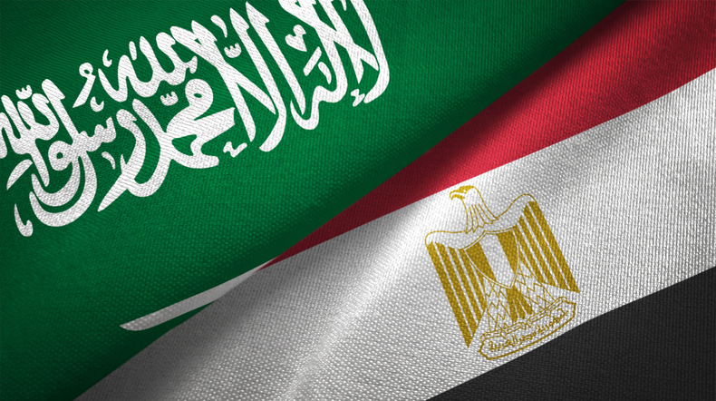 Almost 9,000 Saudi companies in Egypt with investments worth $25.7bn