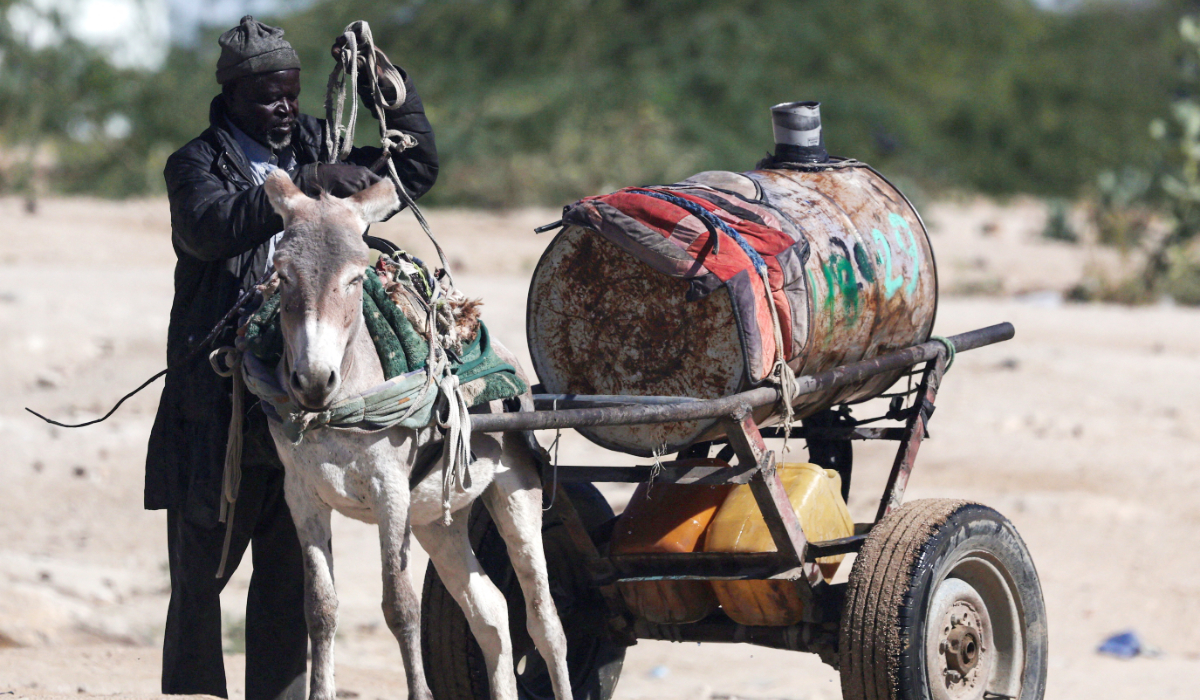 A man transports water on a donkey cart along a road between Chad and Sudan, amid the ongoing conflict between the paramilitary Rapid Support Forces (RSF) and the Sudanese Army, at the Tine border post in eastern Chad, November 22, 2025. (REUTERS)