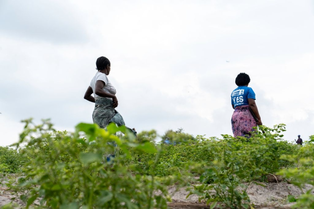 Two farmers tend to the soil where vegetables are planted in the village of Inye, in the commune of N'sele, in Kinshasa. (AFP)