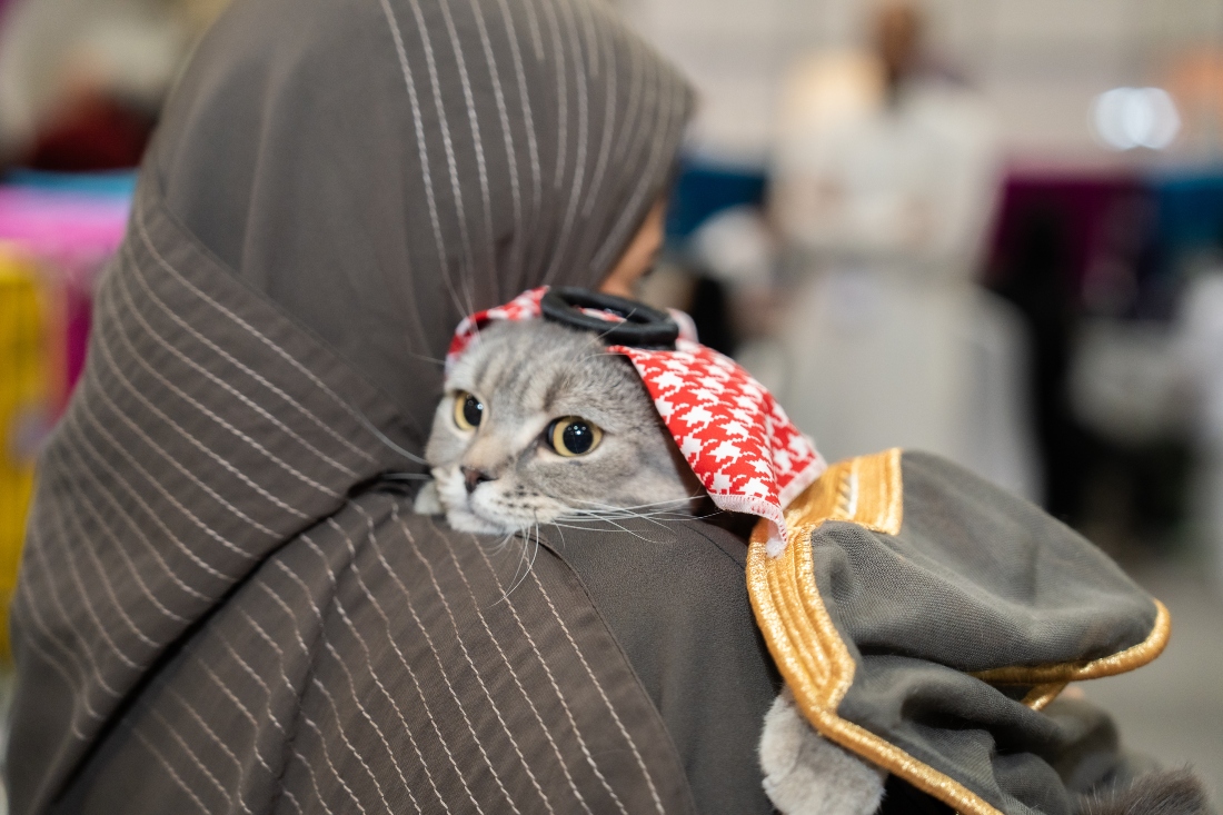 Meow or never as cat lovers compete at Saudi Pet Expo