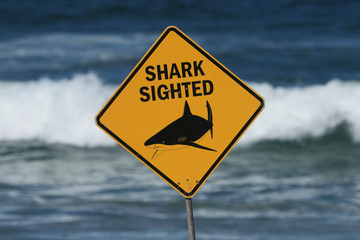 Shark kills woman, seriously wounds another swimmer in Australia