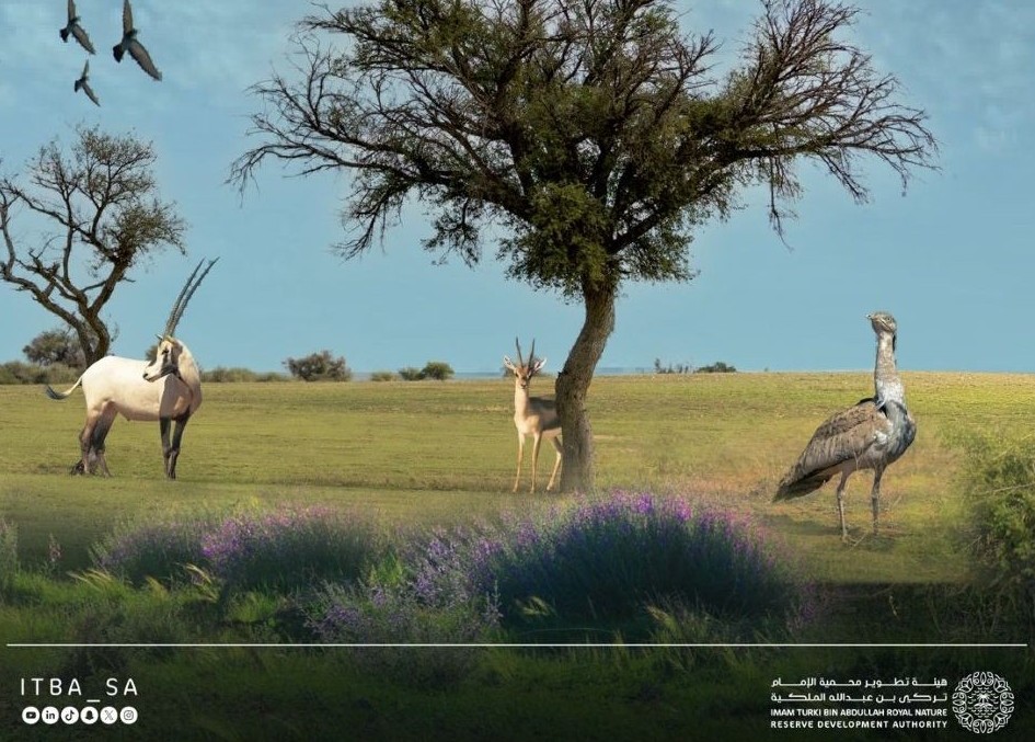 ITBA is showcasing the Shamal Reserve for Sustainable Hunting as a prominent eco-tourism experience during the Winter at Darb Zubaida season. (X/@ITBA_SA)