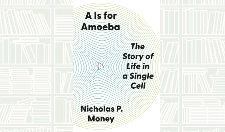 What We Are Reading Today: ‘A Is for Amoeba’