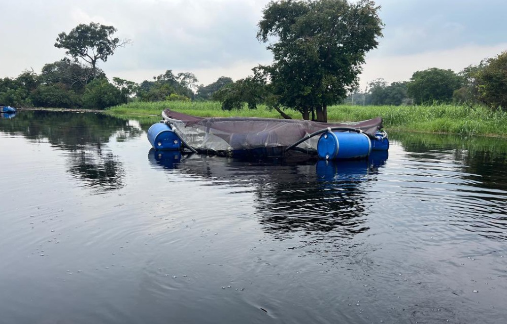 At least 20 people have died, and several remain missing after a boat capsized in northwestern Congo, according to local residents. (X/@VoiceOfCongo)