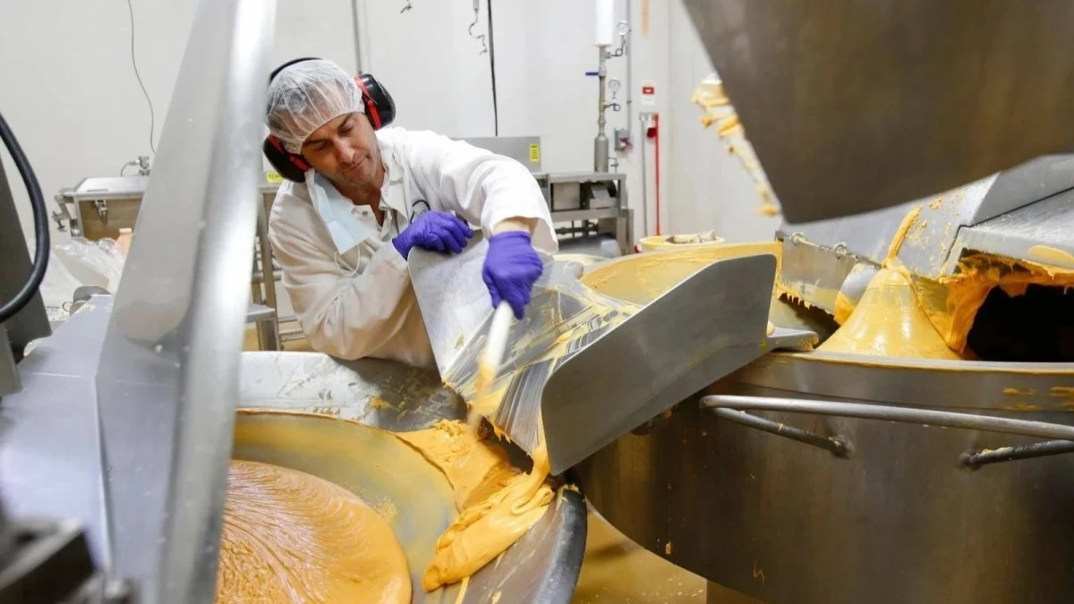 German dairy, honey, and coffee firms plan factories in Saudi Arabia