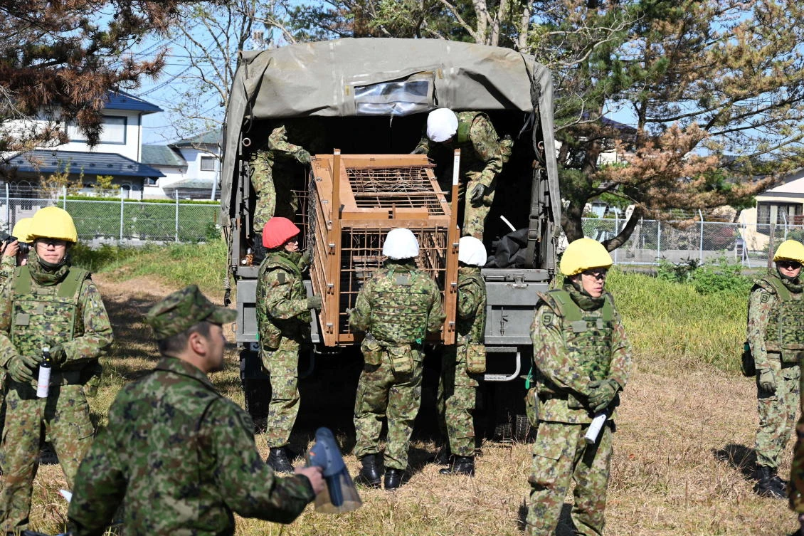 Self-Defense forces personnel unload a bear cage from a military truck in JSDF Akita Camp, Akita, northern Japan on Oct. 30, 2025. (JSDF Akita Camp via AP)