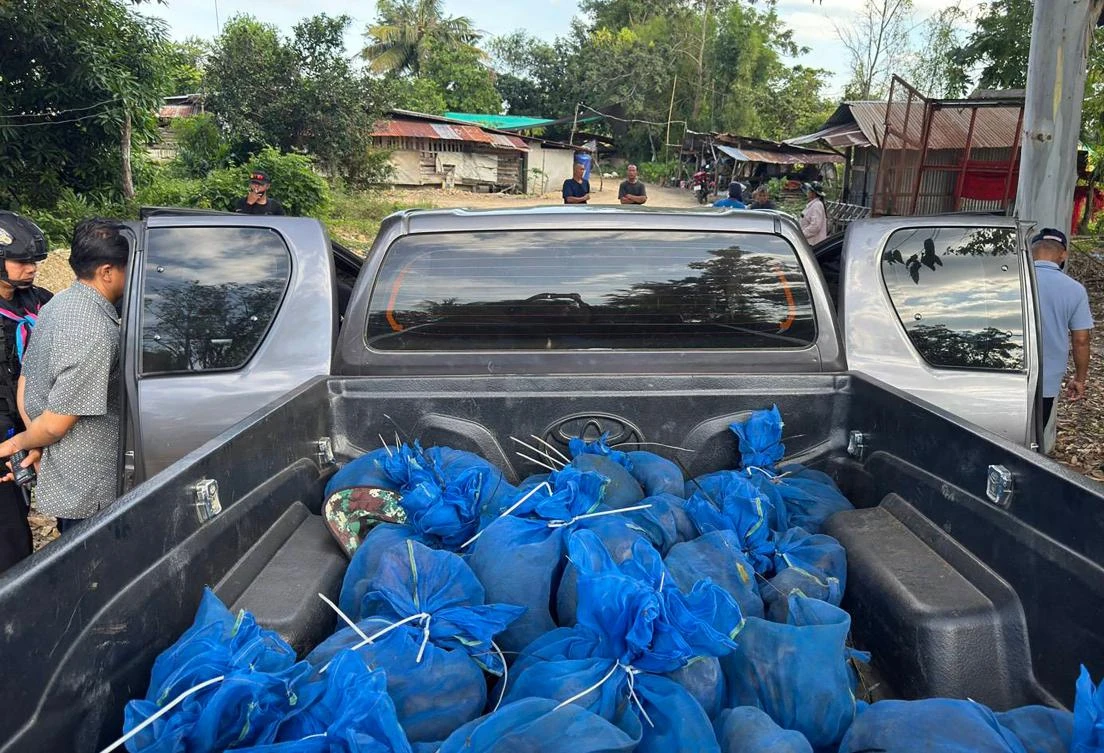 Above, macaques in blue mesh bags after being rescued from a wildlife smuggling operation in Aranyaprathet district in Sa Kaeo province near the Thailand-Cambodia border. (12th Ranger Forces Regiment of the Royal Thai Army/AFP)
