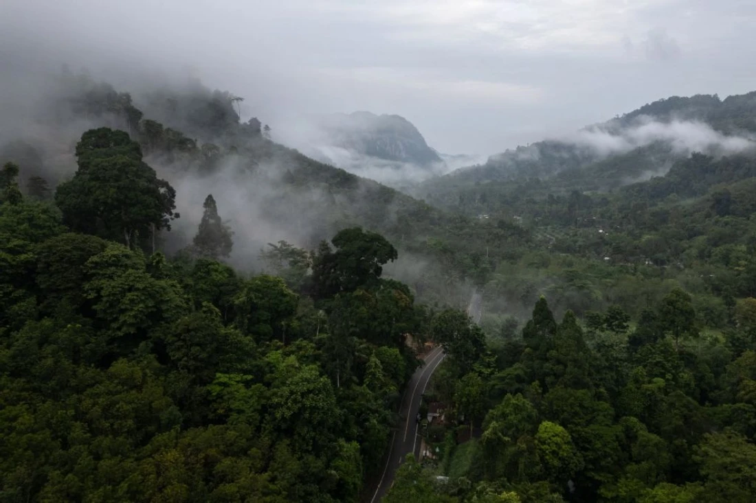 An aerial view of a forested valley inhabited by a group of Maniq in Satun in southern Thailand. (AFP)