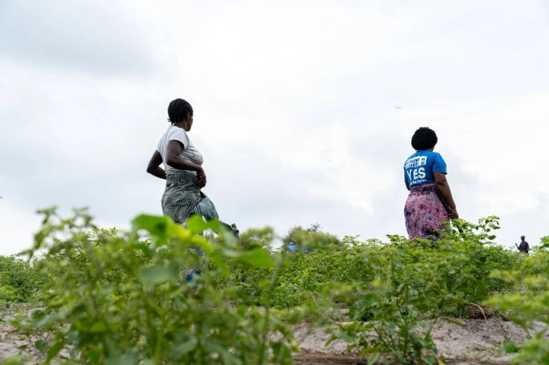 DRC farmers seek to feed Kinshasa, despite multiple obstacles
