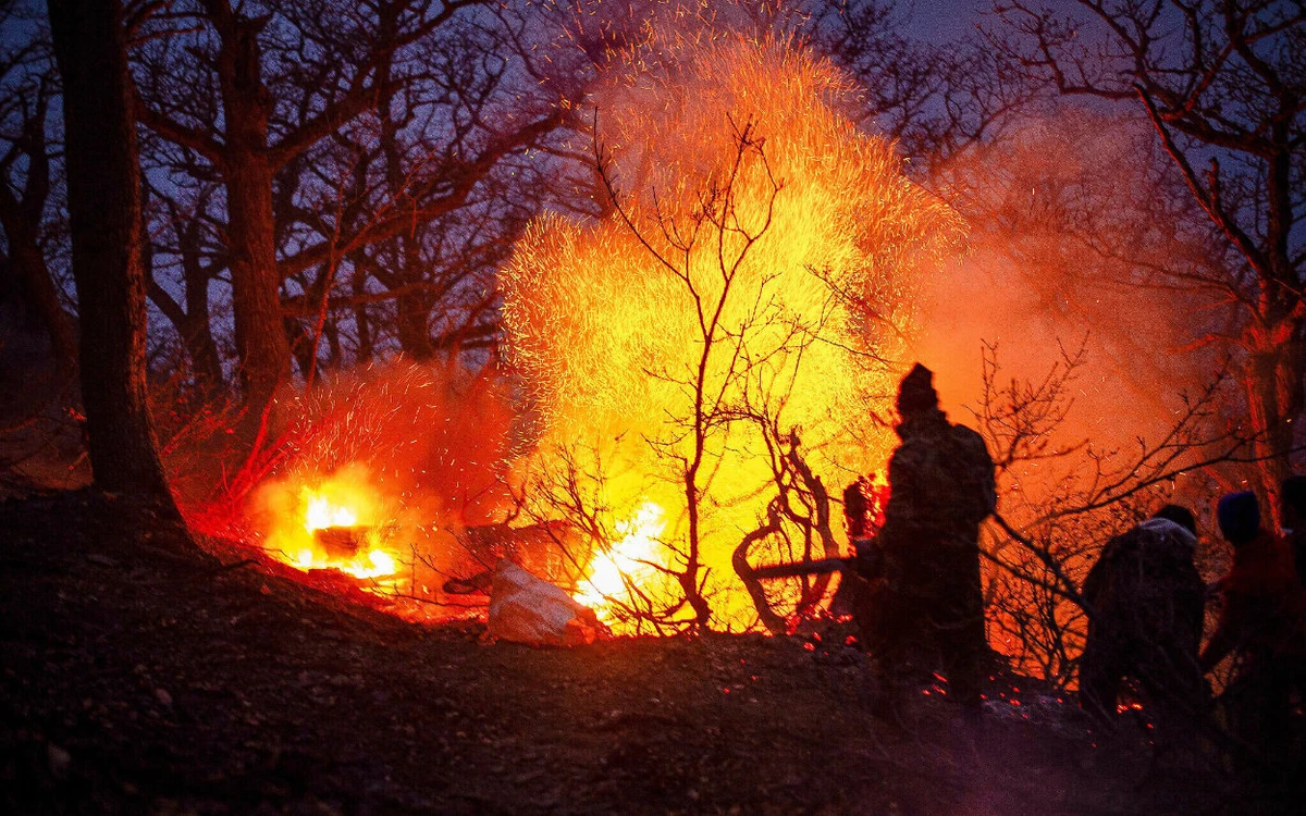 Iran bans access to most forests after fire in UNESCO-listed site