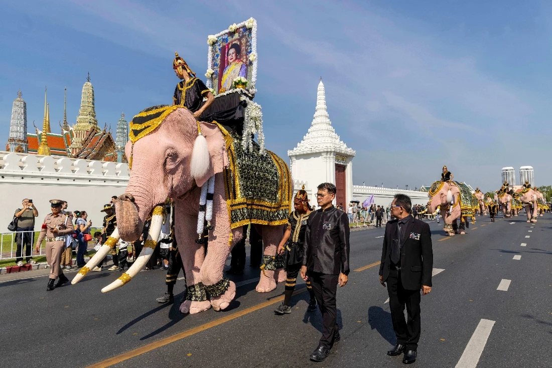 Elephant riders lead a procession of white elephants to pay respect late Queen Mother Sirikit along the Grand Palace in Bangkok, Thailand. (AP)