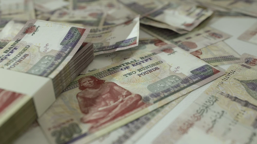 Growth is expected to reach 5 percent by the end of the fiscal year, according to Rania Al-Mashat. Shutterstock