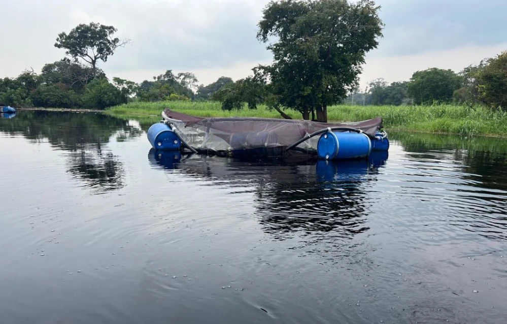 At least 20 dead, several missing after boat capsizes in northwestern Congo
