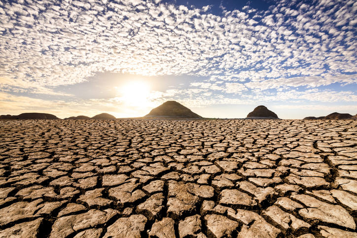 Regenerating the future: The business case for restoring land