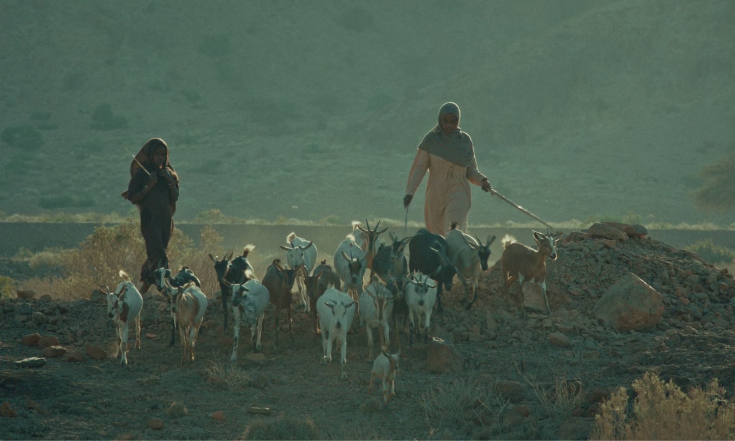 Somali filmmaker Mohammed Sheikh’s debut feature Barni is based on memories from his own community. (Supplied)
