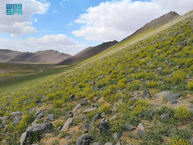 The campaign aims enforcing regulations against violators in partnership with the Special Forces for Environmental Security, rehabilitating damaged lands affected by overgrazing and desertification, planting seedlings and rehabilitating degraded land. (SPA)