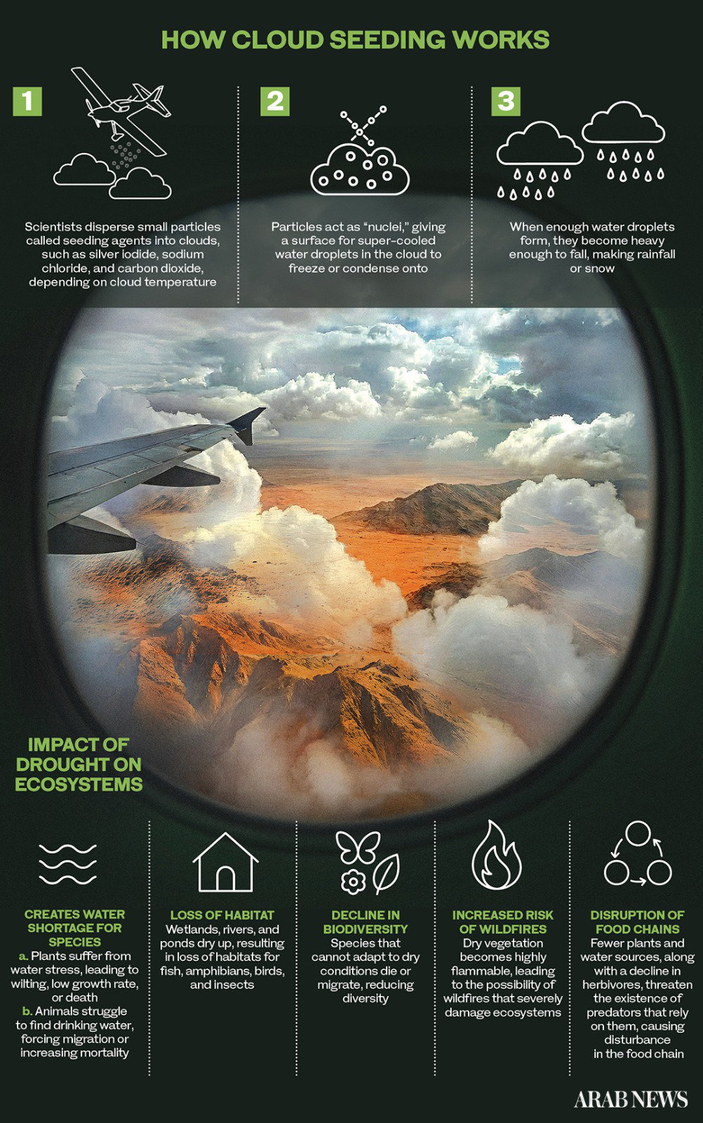 How Saudi Arabia is mitigating drought and balancing the ecosystem