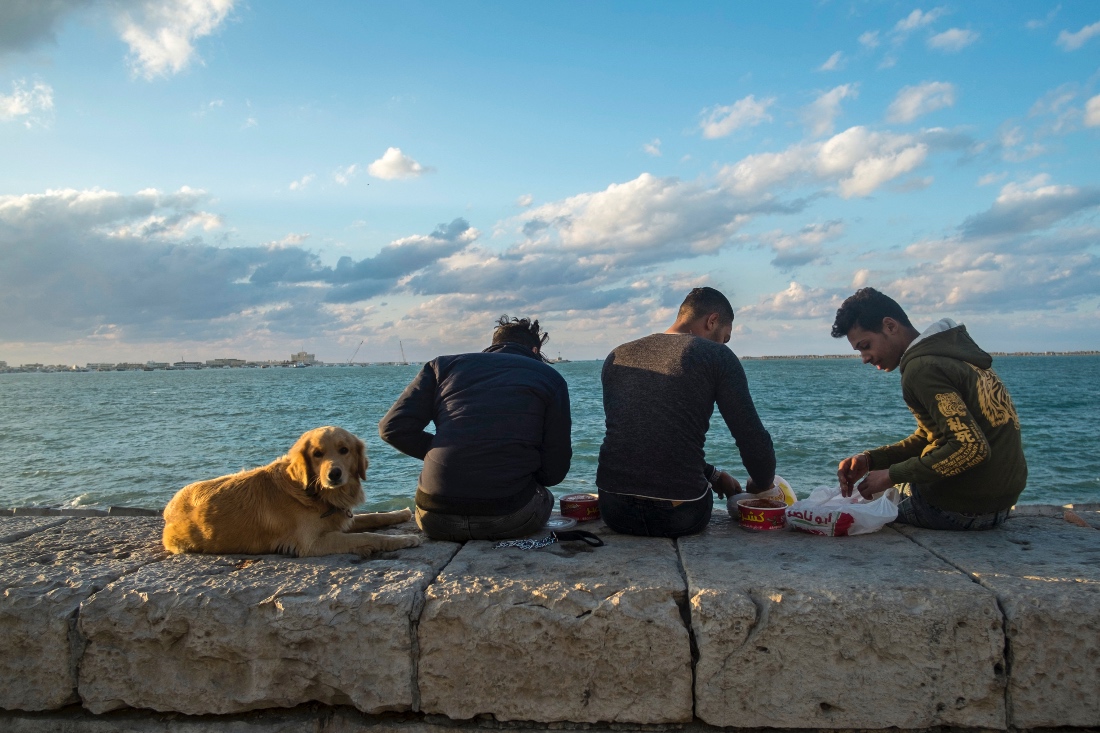 A dog sits next to youths having a meal of "koshari" as they sit along the Mediterranean waterfront in the historic harbour of Egypt's northern city of Alexandria. (AFP)