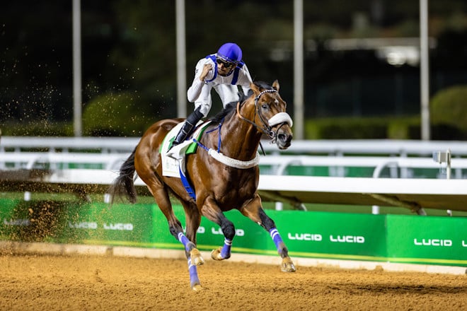 Scotland Yard wins the 2025 Tuwaiq Cup at King Abdulaziz Racecourse. (Credit: Jockey Club of Saudi Arabia / Neville Hopwood)