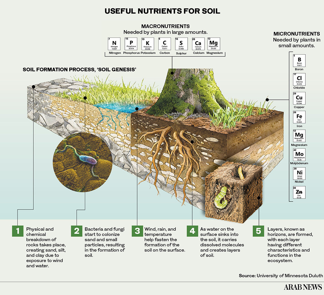 Mapping Saudi soils to grow better crops