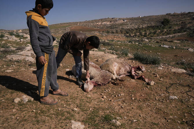 Israeli security forces announced on Thursday the arrest of five Israeli settlers over their alleged involvement in an attack on a Palestinian home that injured a baby girl in the occupied West Bank. (AP)