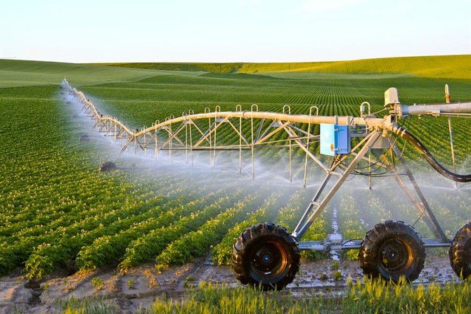 The Sustainable Agricultural Rural Development Program, known as Saudi Reef, has announced exceptional growth in its rainfed crops sector. (File Photo)