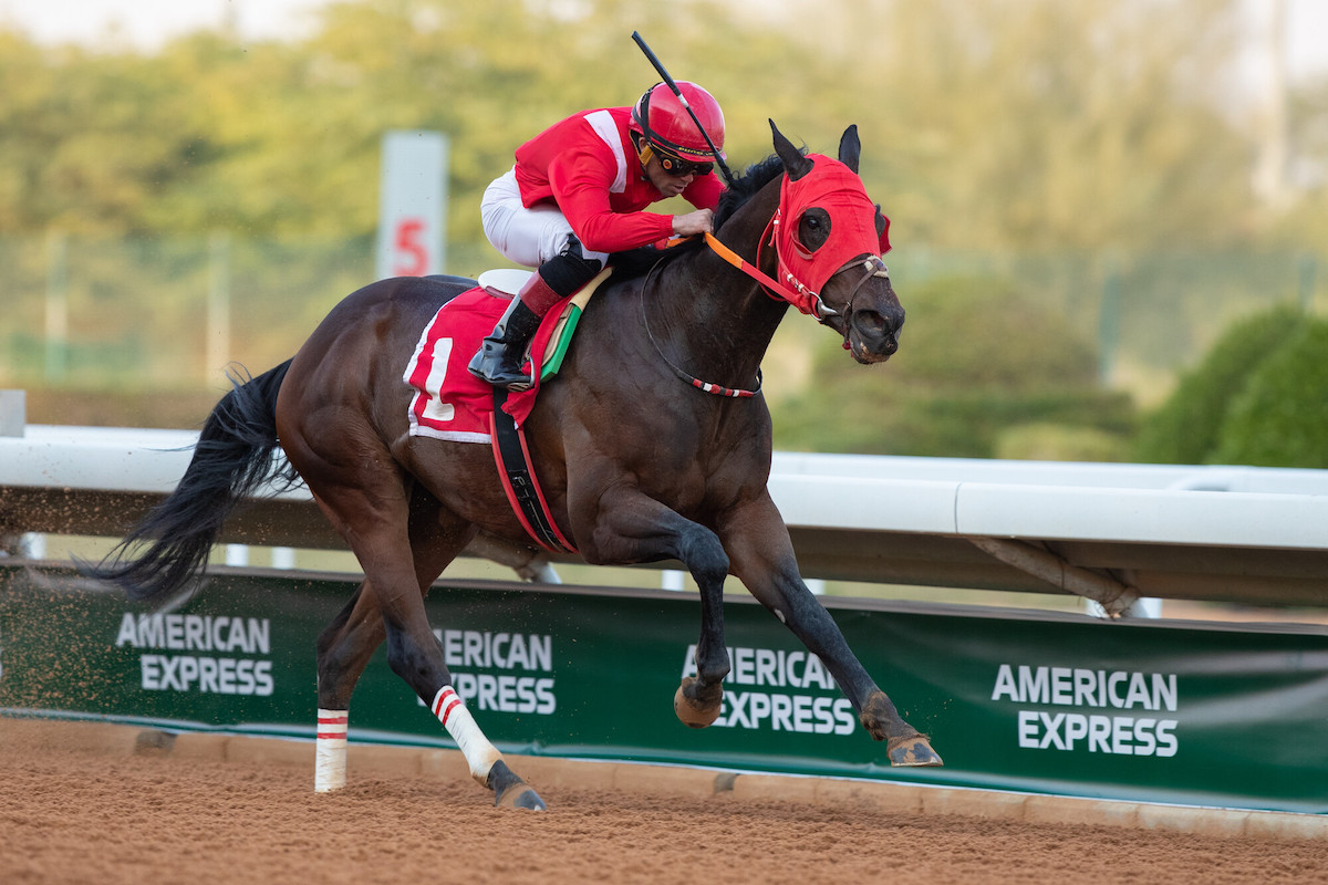 Ancestral Land wins the Riyadh Dirt Sprint Qualifier on Jan. 21, 2005. (JCSA/Ali Abdullah Alzunaydi)