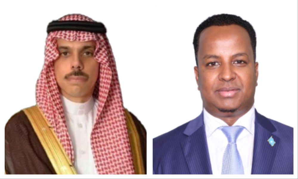 Saudi Foreign Minister Prince Faisal bin Farhan received a telephone call from his Somali counterpart Abdisalam Abdi Ali on Wednesday. (SPA)