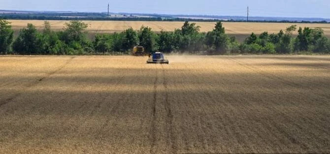 Ukraine has almost completed sowing winter wheat for the 2026 harvest and crops will enter winter in good condition, major farmers union UAC said on Tuesday. (AFP/File)