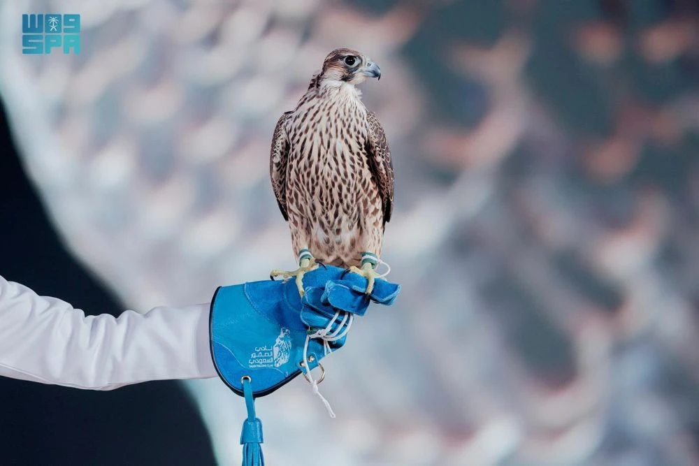 Riyadh falcons auction concludes with $1.7m in sales