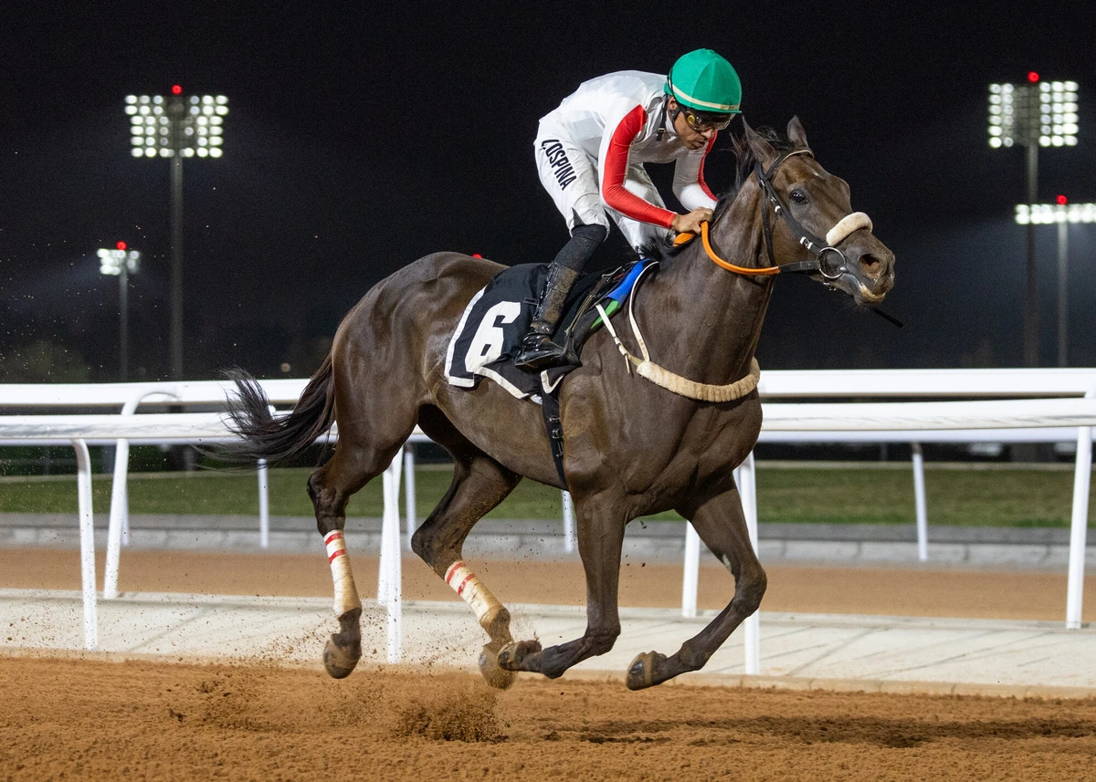 Lelah Doroh wins in Taif on August 15, 2025. (JCSA/Ibrahim Almuzini)