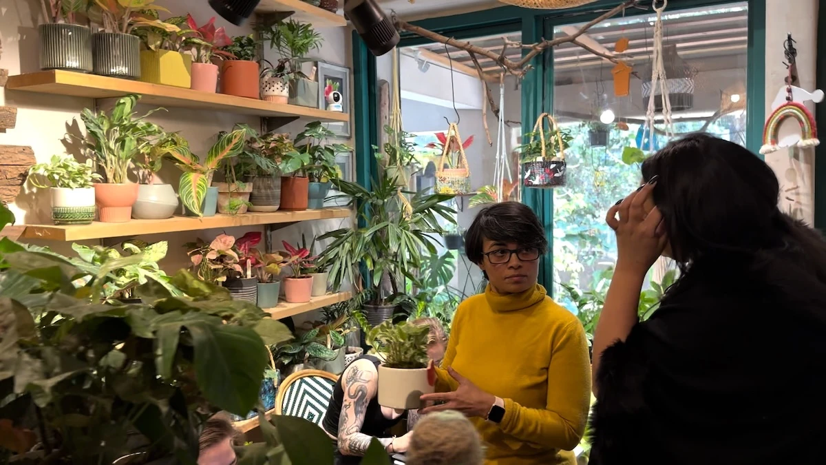 Delhi ‘plant cafe’ offers residents respite from toxic smog