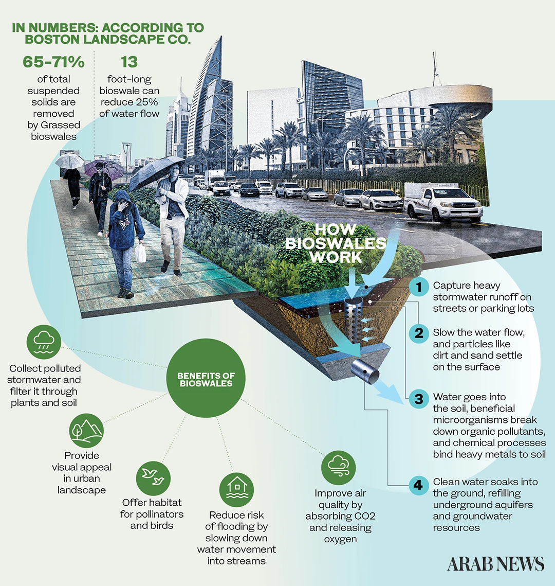Saudi urban planners embrace bioswales for flood control