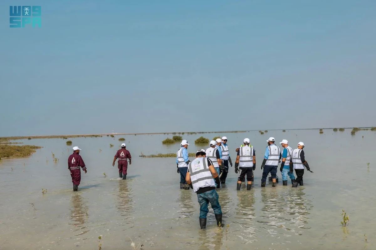 Initiative to plant 400,000 mangrove trees along the beaches of Rabigh that will be digitally monitored was launched by Governor Khalid Al-Mubairik. (SPA)
