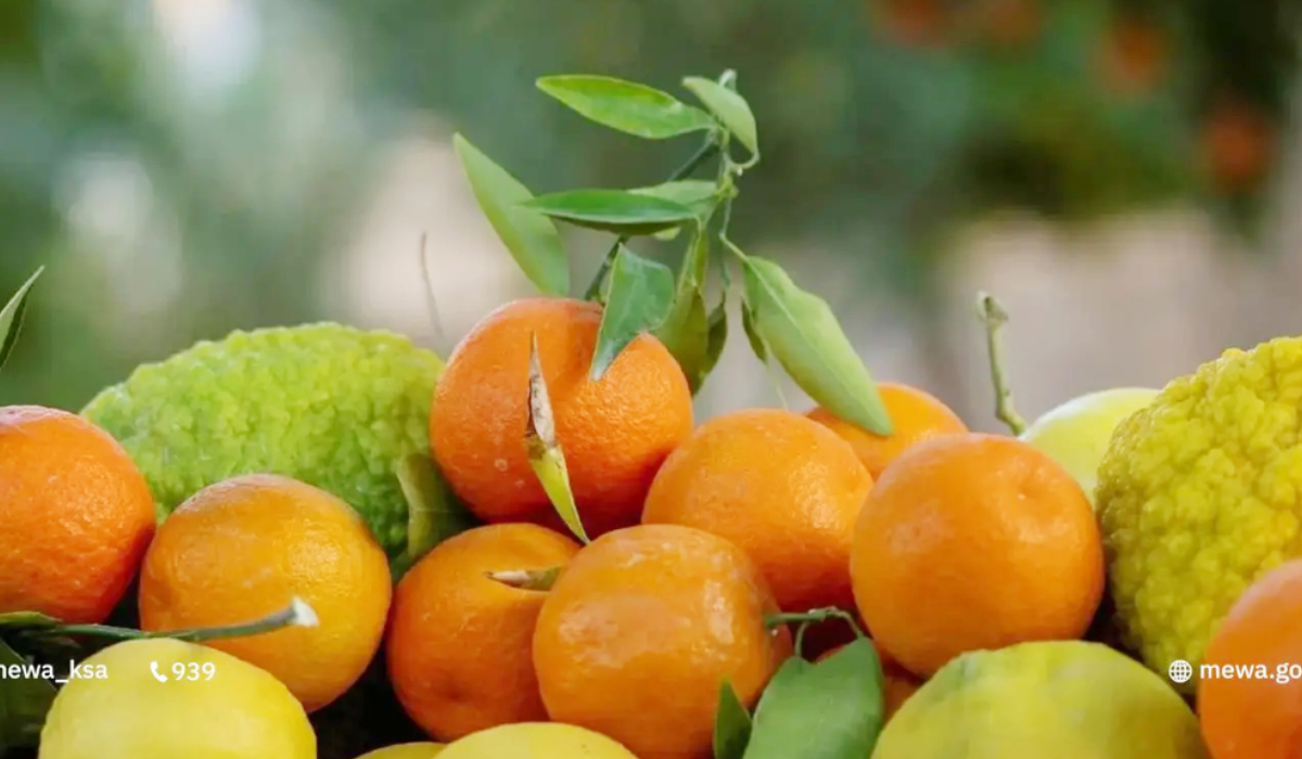 Running for 10 days, the festival seeks to boost national agricultural production. (SPA)